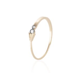 Anel Hoops em ouro amarelo 18k e Diamante